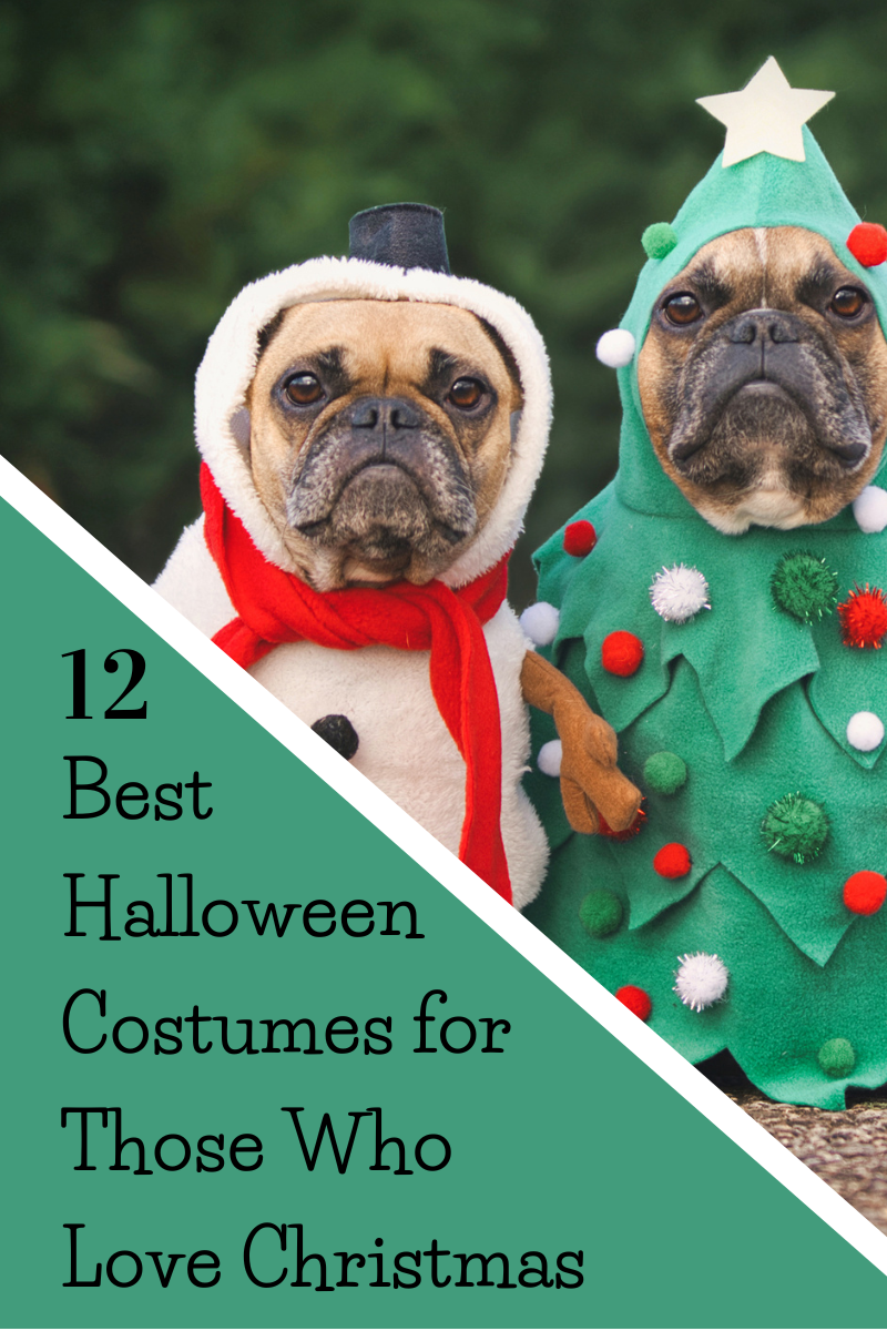 12 Best Halloween Costumes for Those Who Love Christmas